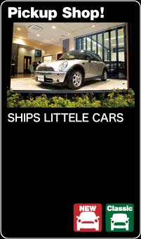 SHIPS LITTLE CARS